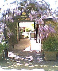 Joadja Winery - Nambucca Heads Accommodation 2