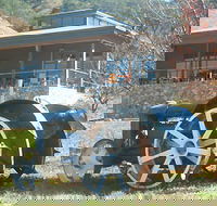 Lake George Winery - Nambucca Heads Accommodation