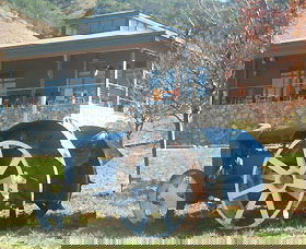 Lake George Winery - Nambucca Heads Accommodation 0