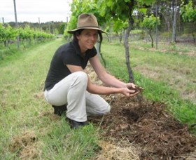 Twisted Gum Wines - Nambucca Heads Accommodation 2