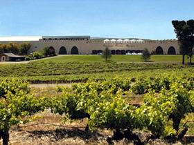 Taylors Wines - Nambucca Heads Accommodation 0