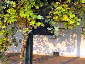 Bowen Estate - Nambucca Heads Accommodation 0