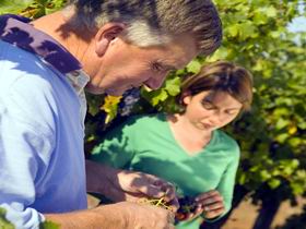 Bowen Estate - Nambucca Heads Accommodation 1