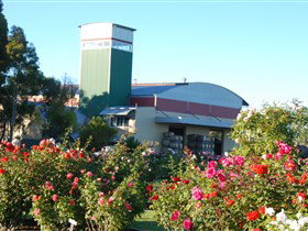 Balnaves Of Coonawarra - Nambucca Heads Accommodation 1