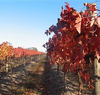 Kooyonga Creek Wines - Nambucca Heads Accommodation
