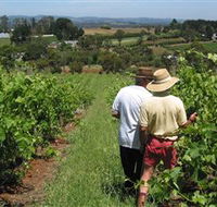Sir Paz Estate - Nambucca Heads Accommodation