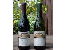 North Esk River Vineyard - Nambucca Heads Accommodation 0