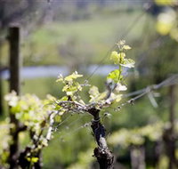 Barrgowan Vineyard - Nambucca Heads Accommodation