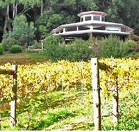 Peveril Vineyard/Beechy Berries - Nambucca Heads Accommodation