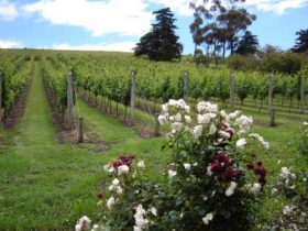 Canberra And Surrounds ACT Nambucca Heads Accommodation