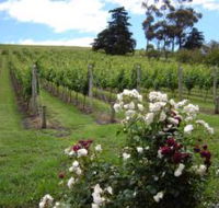 Pembroke Estate Vineyard - Nambucca Heads Accommodation