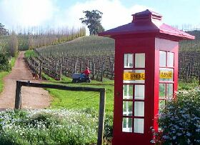 Dalrymple Vineyards - Nambucca Heads Accommodation 0