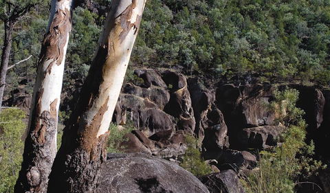 Macintyre Falls Lookout - Nambucca Heads Accommodation 3