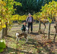 Little River Wines of Taggerty - Nambucca Heads Accommodation