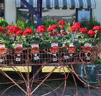 Van Loon's Nursery - Nambucca Heads Accommodation