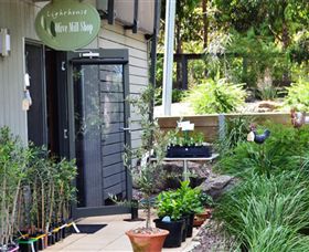 The Lighthouse Olive Mill Shop - Nambucca Heads Accommodation 0