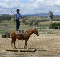 Boggy Creek Shows - Nambucca Heads Accommodation