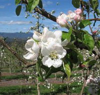Mouat's Farm - Nambucca Heads Accommodation