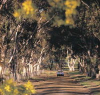 Albert Facey Heritage Trail - Nambucca Heads Accommodation