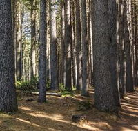Sugarpine Walk - Nambucca Heads Accommodation