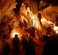 Careys Cave - Nambucca Heads Accommodation