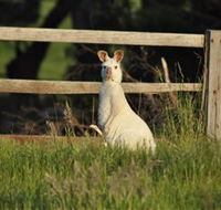 Panorama Garden Estate - Nambucca Heads Accommodation