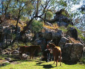 Nambucca Heads Accommodation
