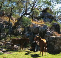 Coomba Falls - Nambucca Heads Accommodation