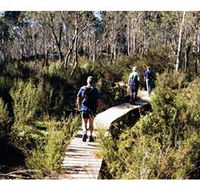 Hume and Hovell Walking Track - Henry Angel Trackhead - Nambucca Heads Accommodation