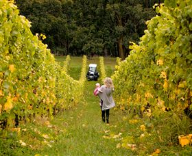 Polperro Winery - Nambucca Heads Accommodation 7
