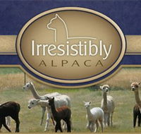 Marchmont Park Alpacas - Nambucca Heads Accommodation