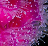 Yaringa Marine National Park - Nambucca Heads Accommodation