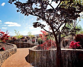 The Water Garden At Mayfield Garden - Nambucca Heads Accommodation 2