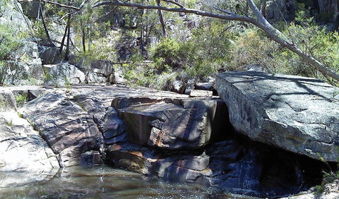 Torrington State Conservation Area - Nambucca Heads Accommodation 0