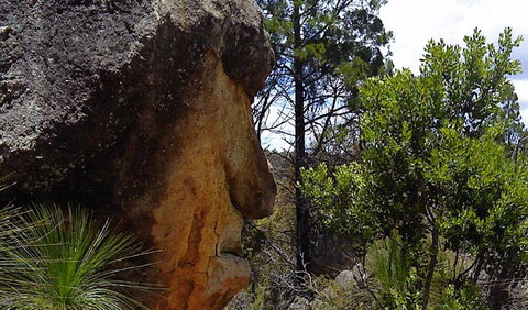 Torrington State Conservation Area - Nambucca Heads Accommodation 1