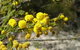 Torrington State Conservation Area - thumb 3