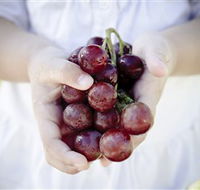 Granitevale  Estate Winery - Nambucca Heads Accommodation