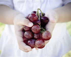 Granitevale  Estate Winery - Nambucca Heads Accommodation 0