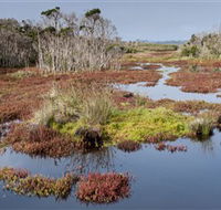 French Island National Park - Nambucca Heads Accommodation