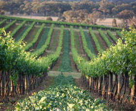 Two Rivers Wines - Nambucca Heads Accommodation 1
