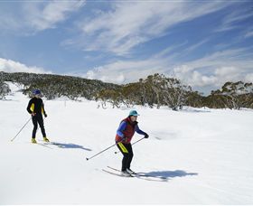 Mt Baw Baw Alpine Resort - Nambucca Heads Accommodation 2