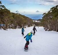 Mt Baw Baw Alpine Resort - Nambucca Heads Accommodation
