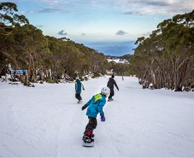 Mt Baw Baw Alpine Resort - Nambucca Heads Accommodation 0