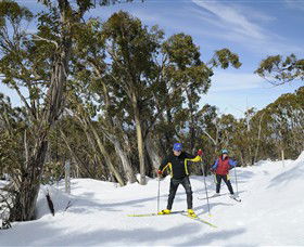 Mt Baw Baw Alpine Resort - Nambucca Heads Accommodation 4