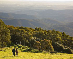 Mt Baw Baw Alpine Resort - Nambucca Heads Accommodation 6