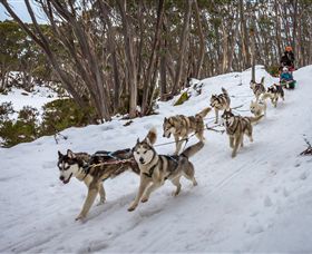Mt Baw Baw Alpine Resort - Nambucca Heads Accommodation 5