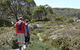 Mt Baw Baw Alpine Resort - thumb 7