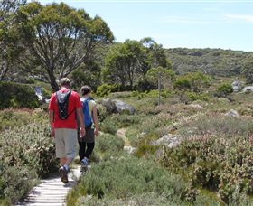 Mt Baw Baw Alpine Resort - Nambucca Heads Accommodation 7