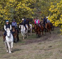 Burnelee Excursions on Horseback - Nambucca Heads Accommodation
