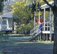 Dryandra Woodland - Nambucca Heads Accommodation